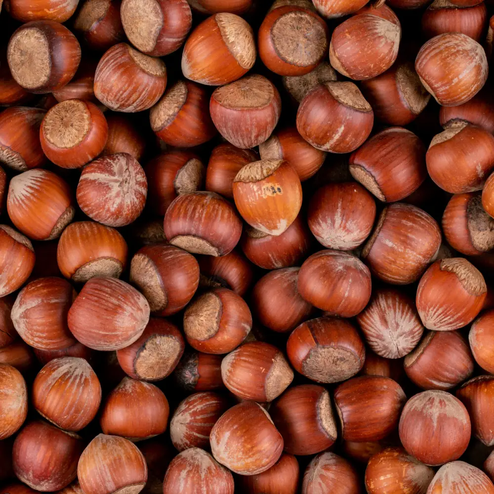 Alune de pădure, hazelnuts