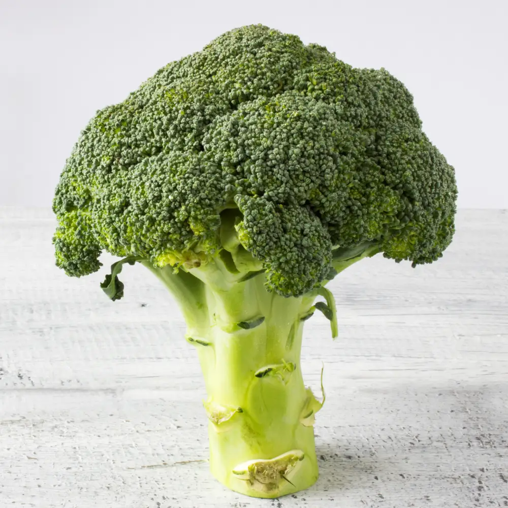 broccoli