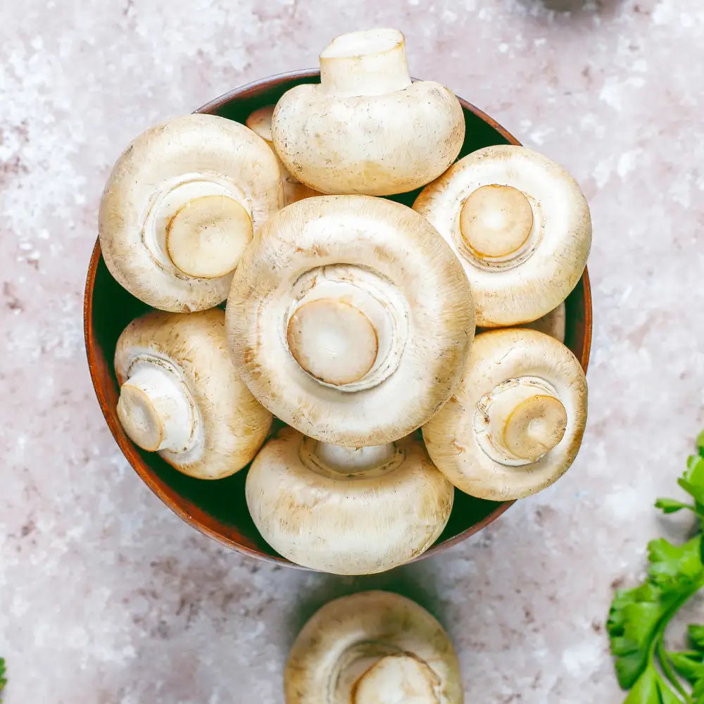ciuperci champignon albe