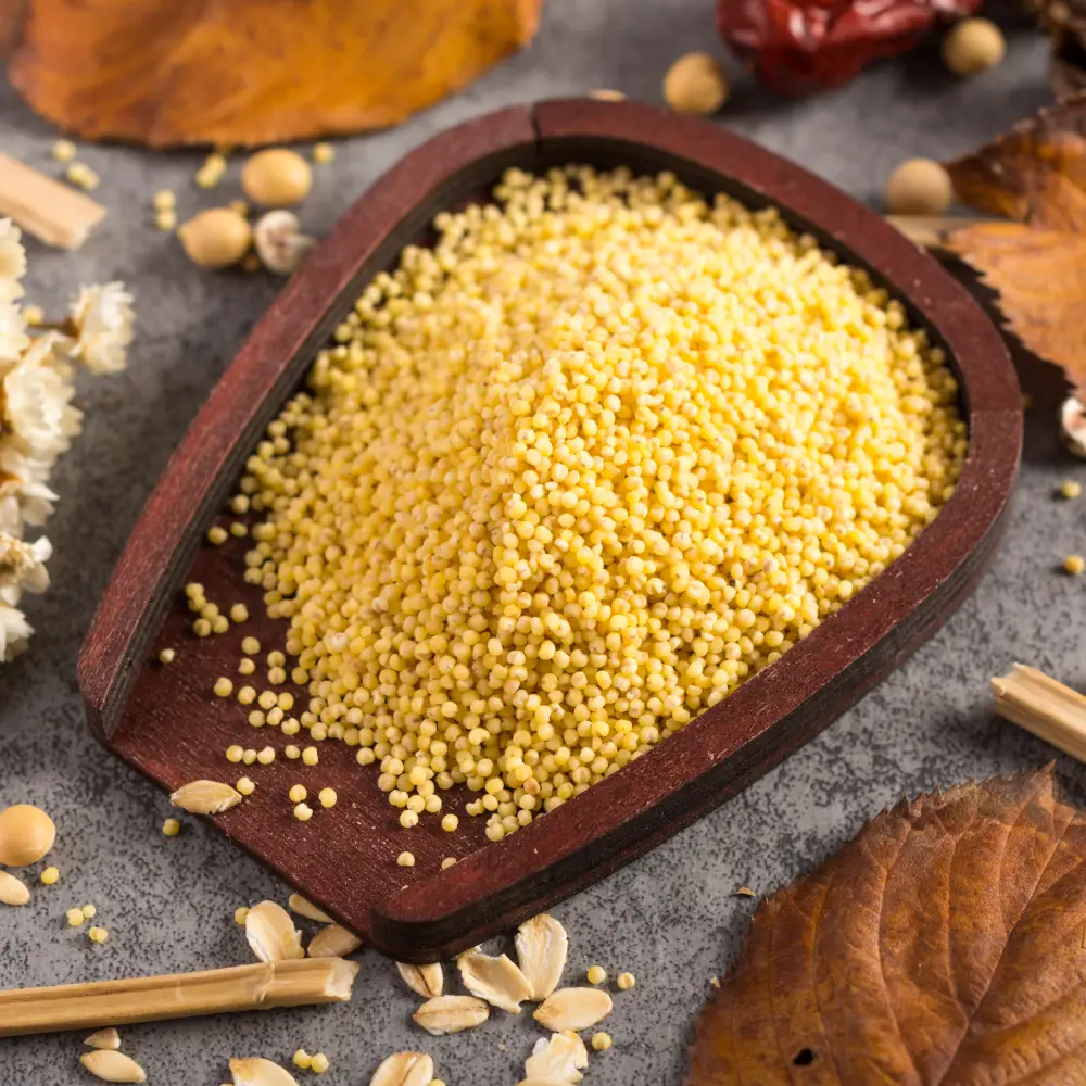 couscous, cuscus