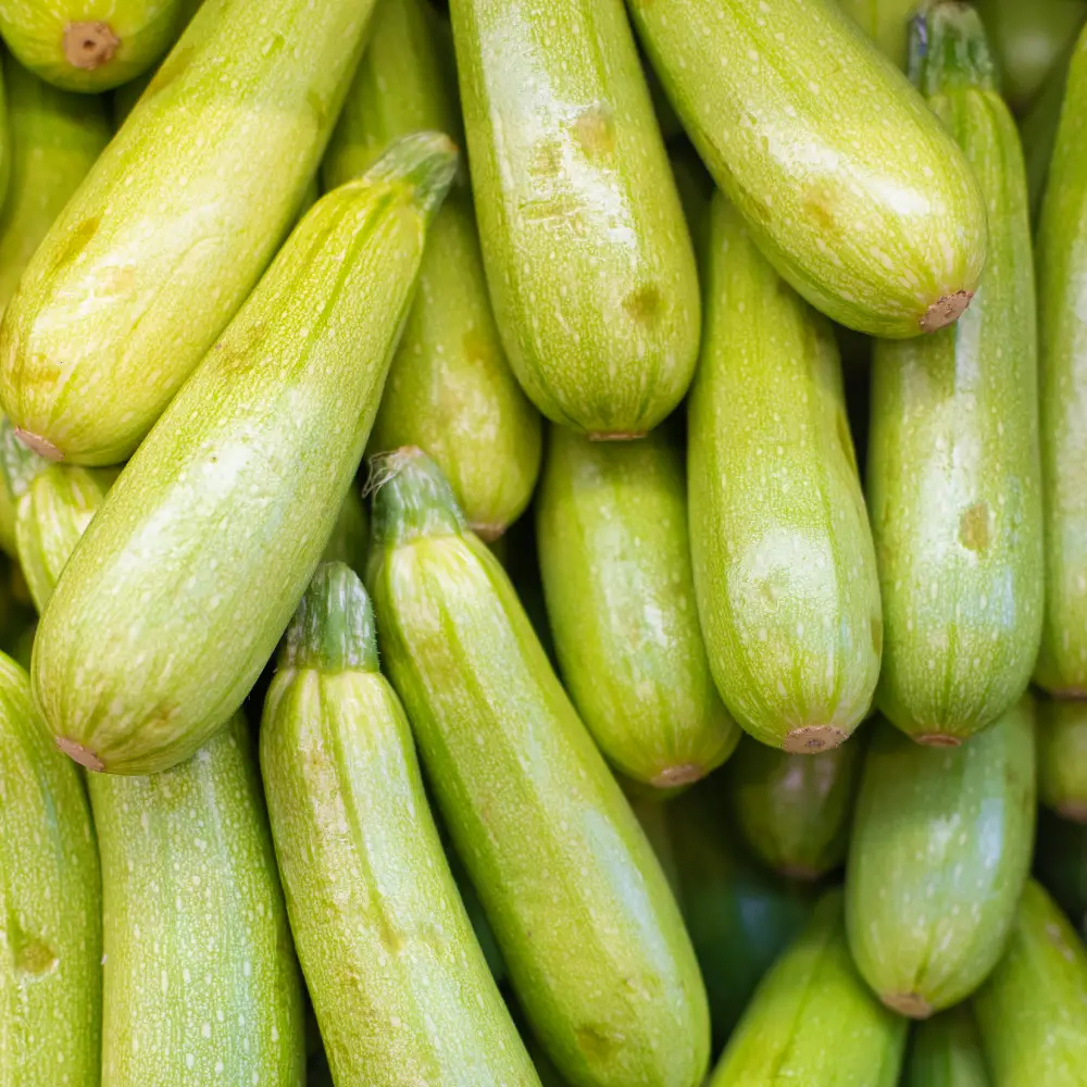 dovlecel zucchini