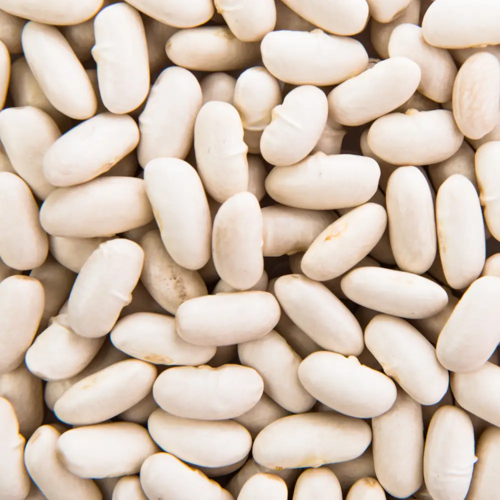 fasole albă boabe