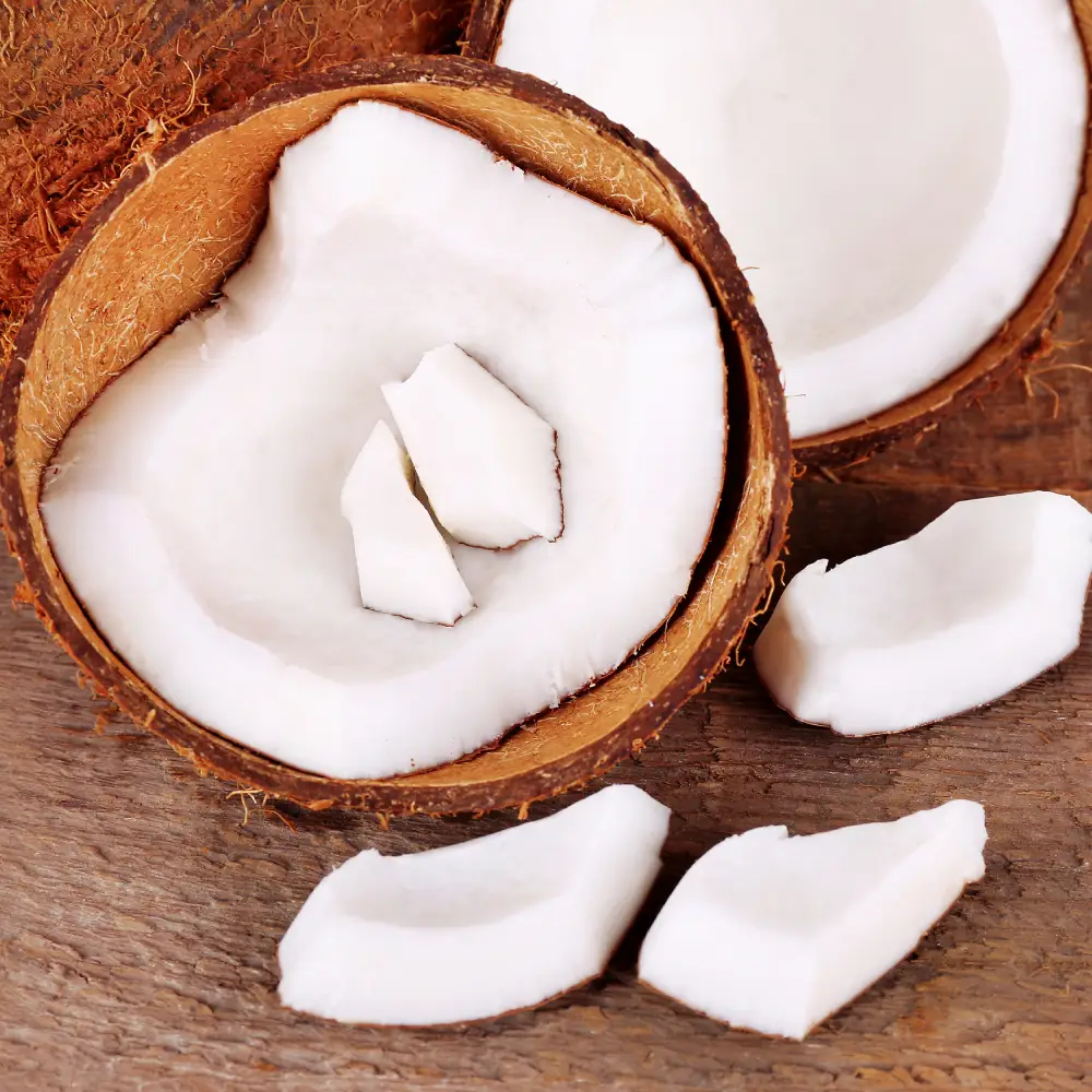 Miez de cocos, nucă de cocos