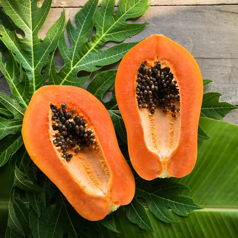 Papaya