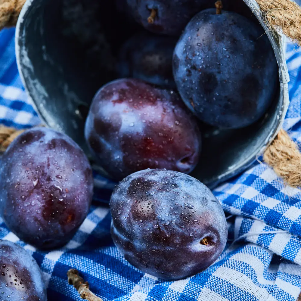 prune