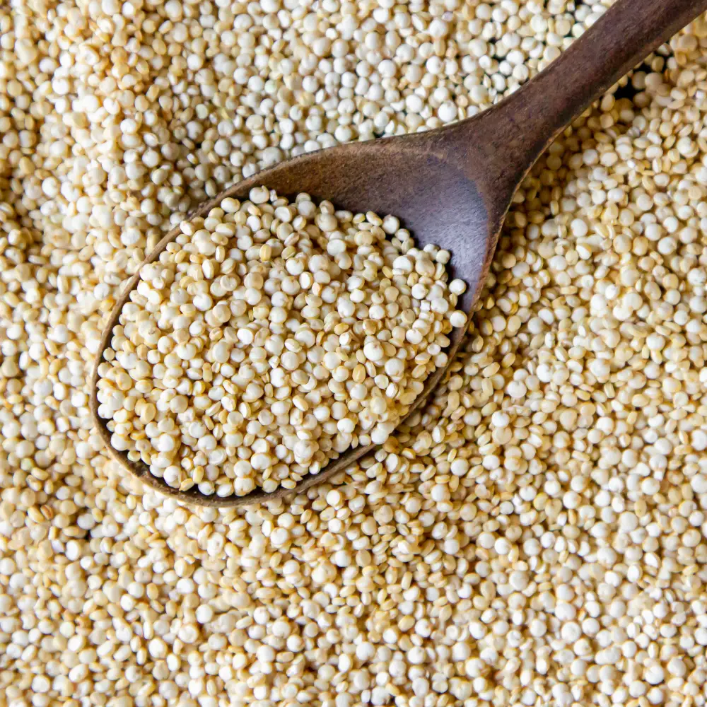 quinoa