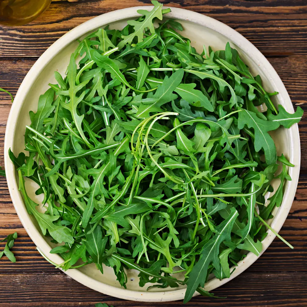 rucola