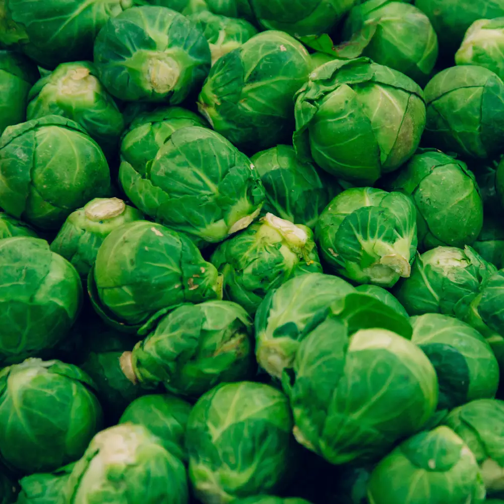 varza de bruxelles
